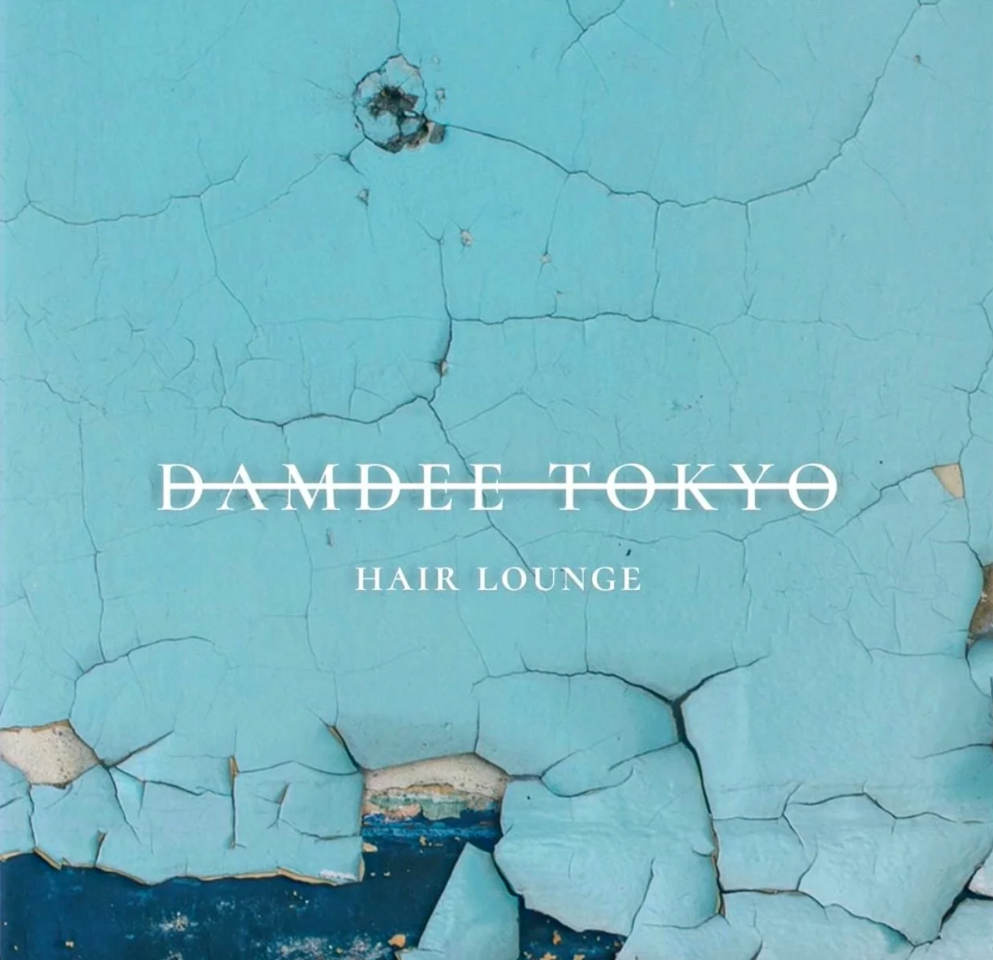 DAMDEEHAIRLOUNGE上野店☆アシスタント募集