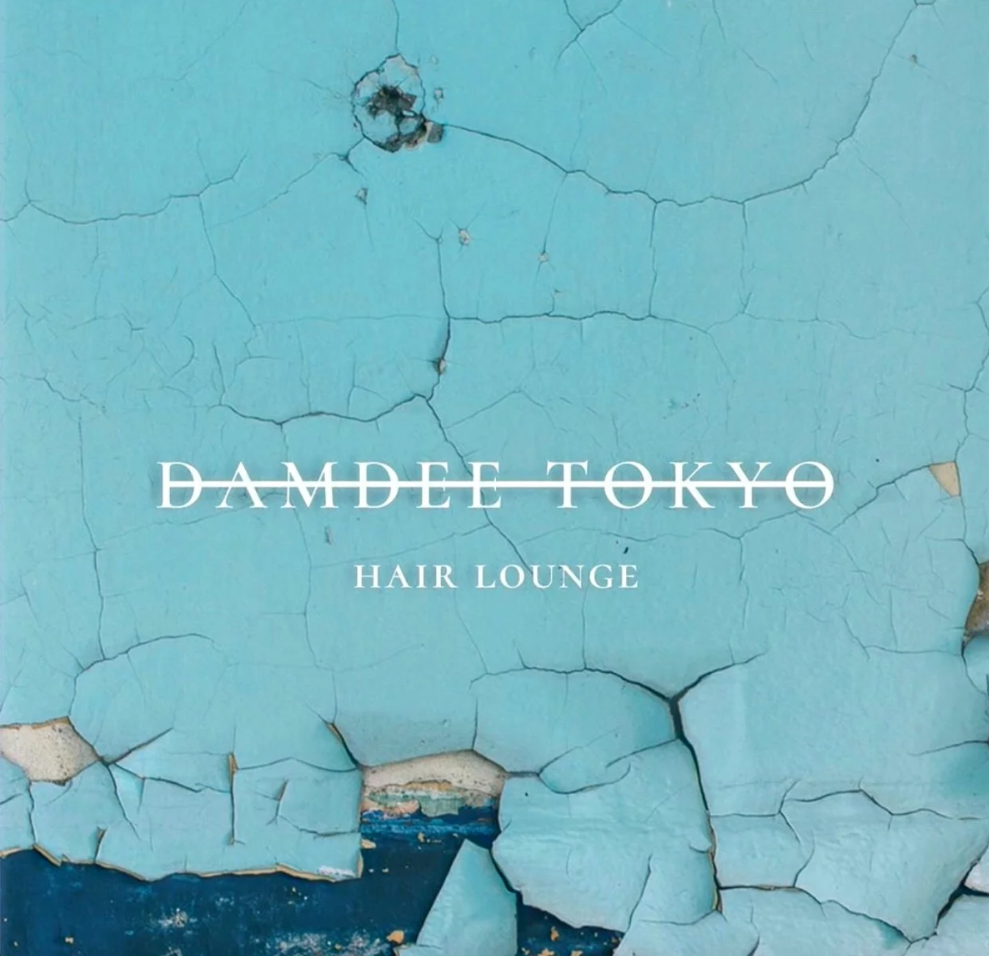 DAMDEE TOKYO HAIR LOUNGE