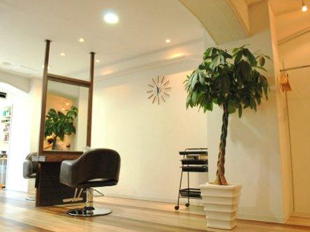 hair design Lien