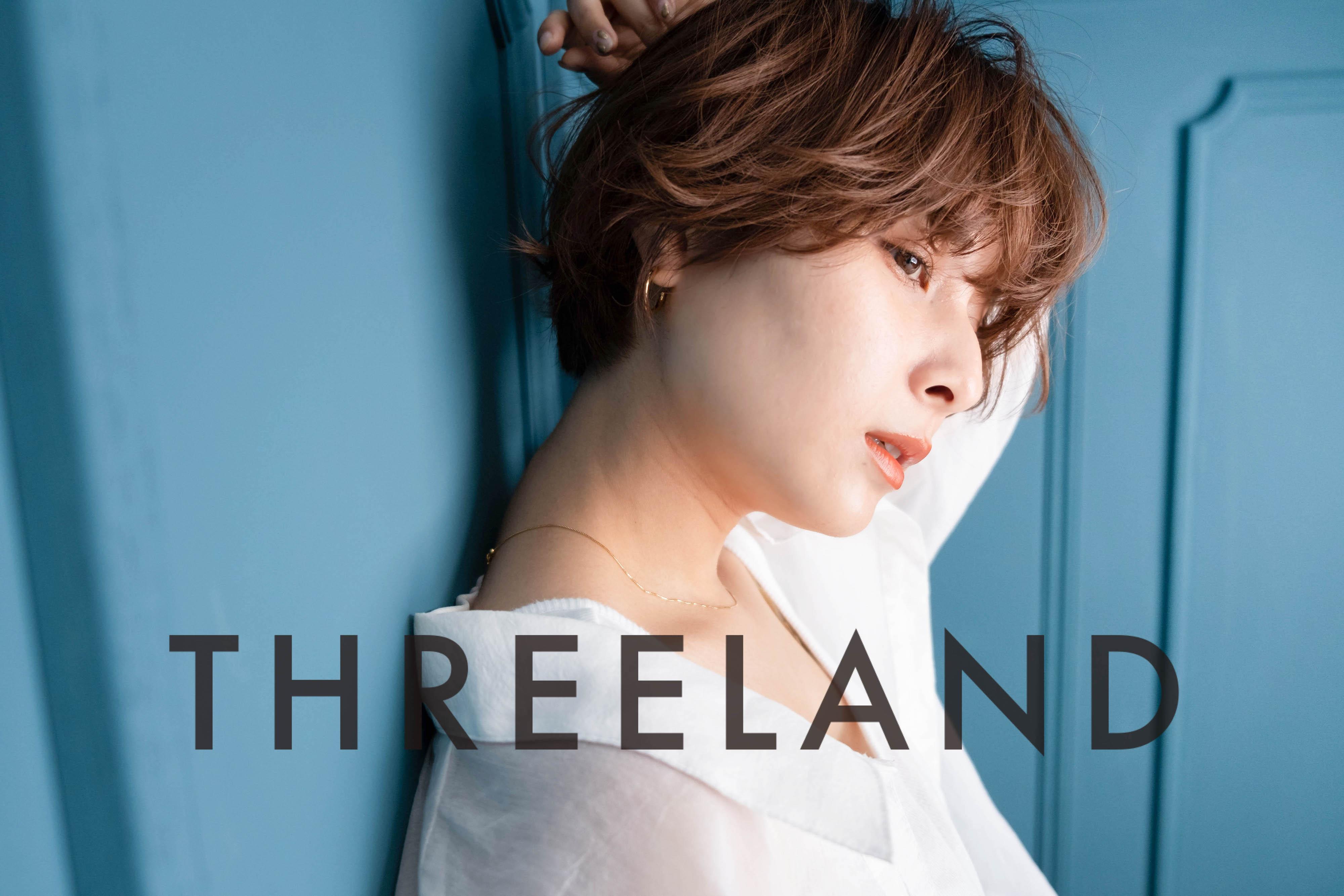 株式会社THREELAND
