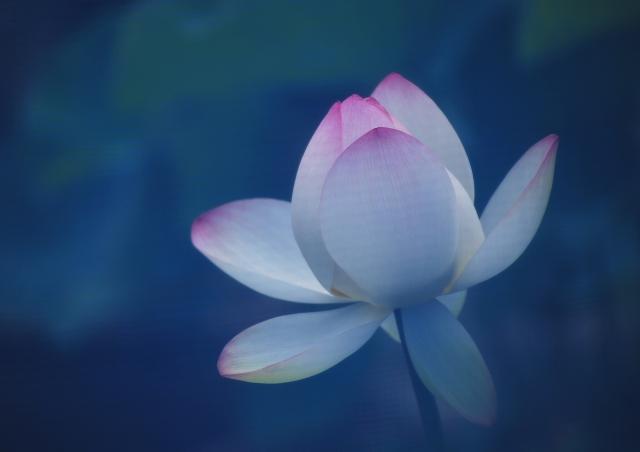 メンテナンス用サロン