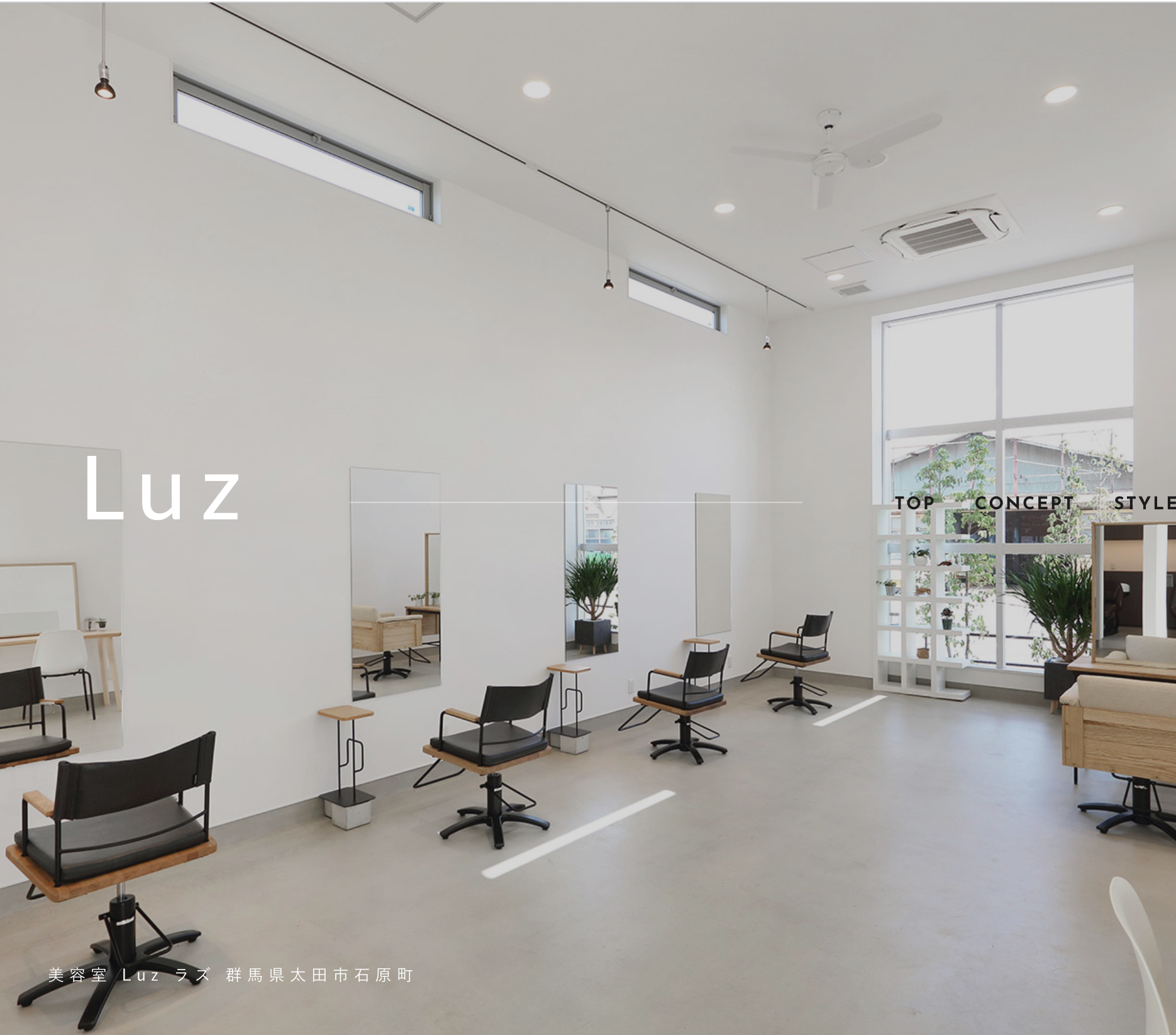 Luz